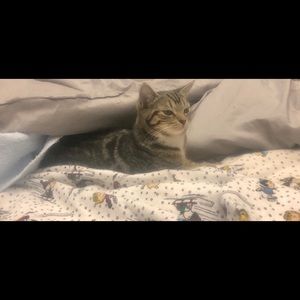 Meet your Posher, Dawn